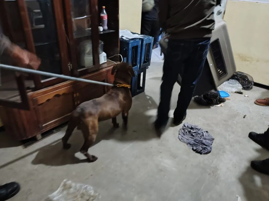 Mineral de la Reforma: salvan a perrita víctima de presunto abandono