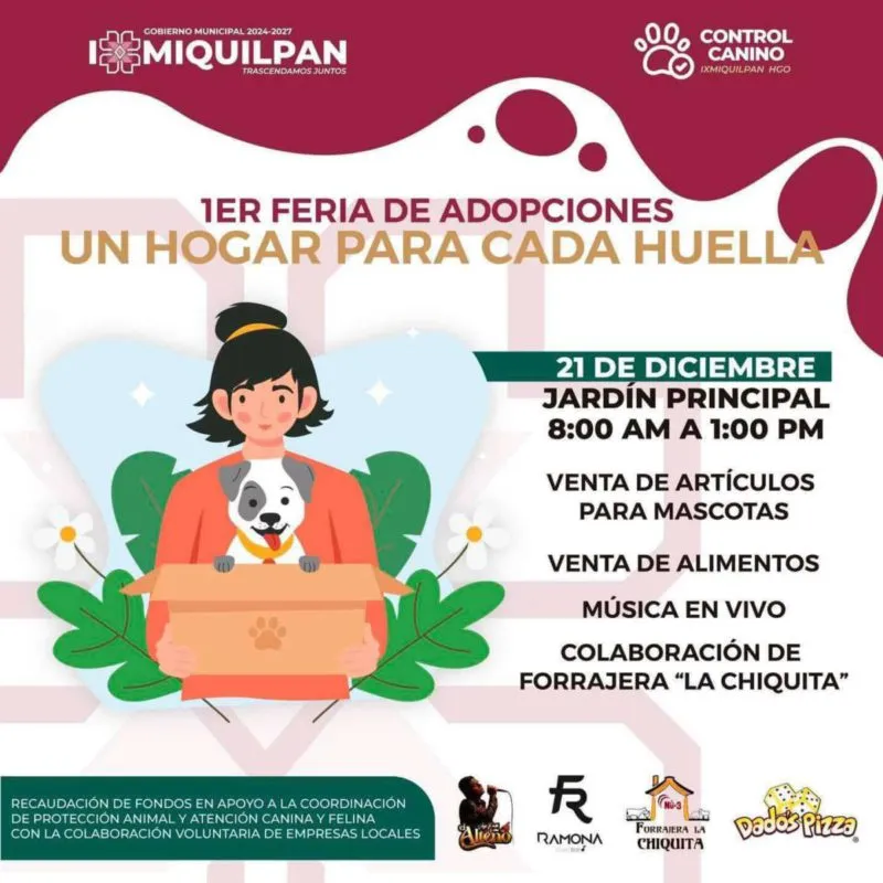 Anuncian primera Feria de Adopción de perros en situación de calle en Ixmiquilpan