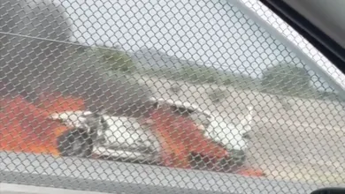 Falla mecánica y calor provocan el incendio de un auto en el km 50 de la México-Pachuca.