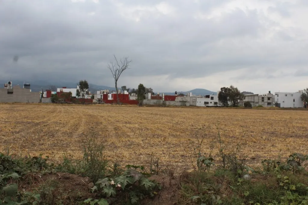 Aguas residuales ahogan a ejido Jaltepec en Tulancingo 