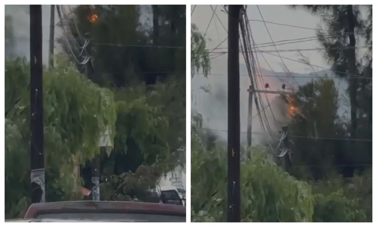 Ixmiquilpan: caen cables de alta tensión e incendian árbol | VIDEO
