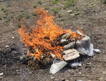 Incineración
