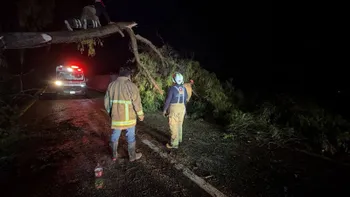 Árboles caídos, viviendas inundadas y daños materiales tras la tormenta de anoche.