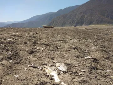 Laguna de Metztitlán: Congreso de Hidalgo urge rescate