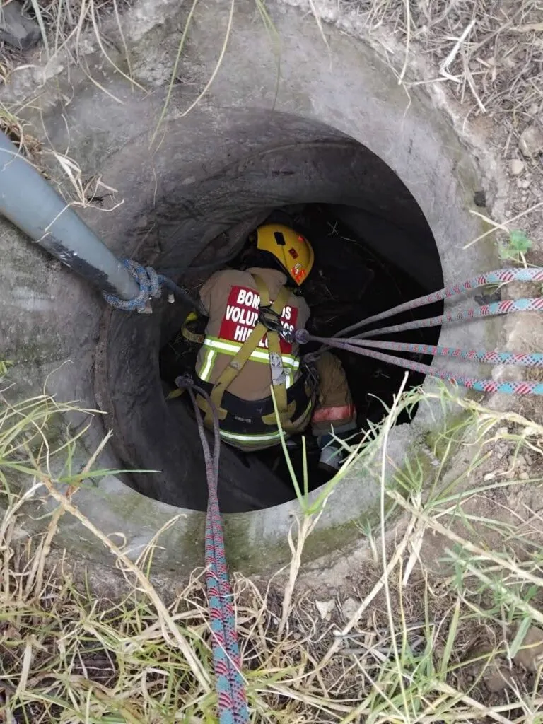Bomberas rescatan con vida a perrito atrapado en un drenaje en Pachuca