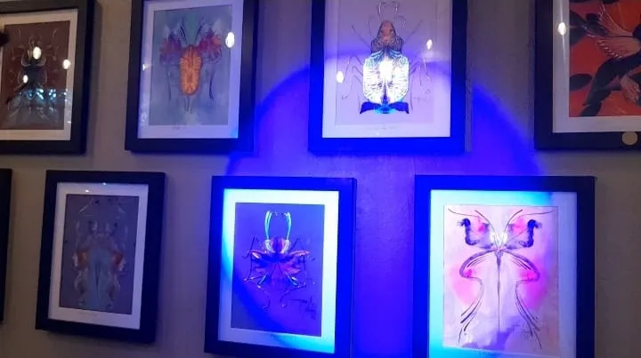 Artista oaxaqueño visita Pachuca con más de 60 obras