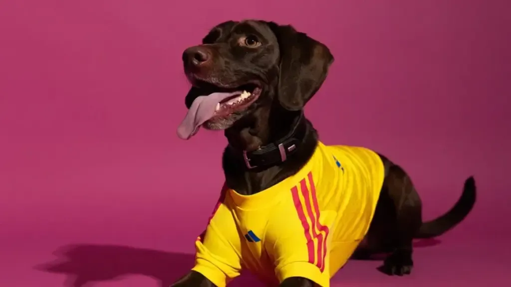 Adidas lanza jerseys para mascotas inspirados en el Mundial 2026