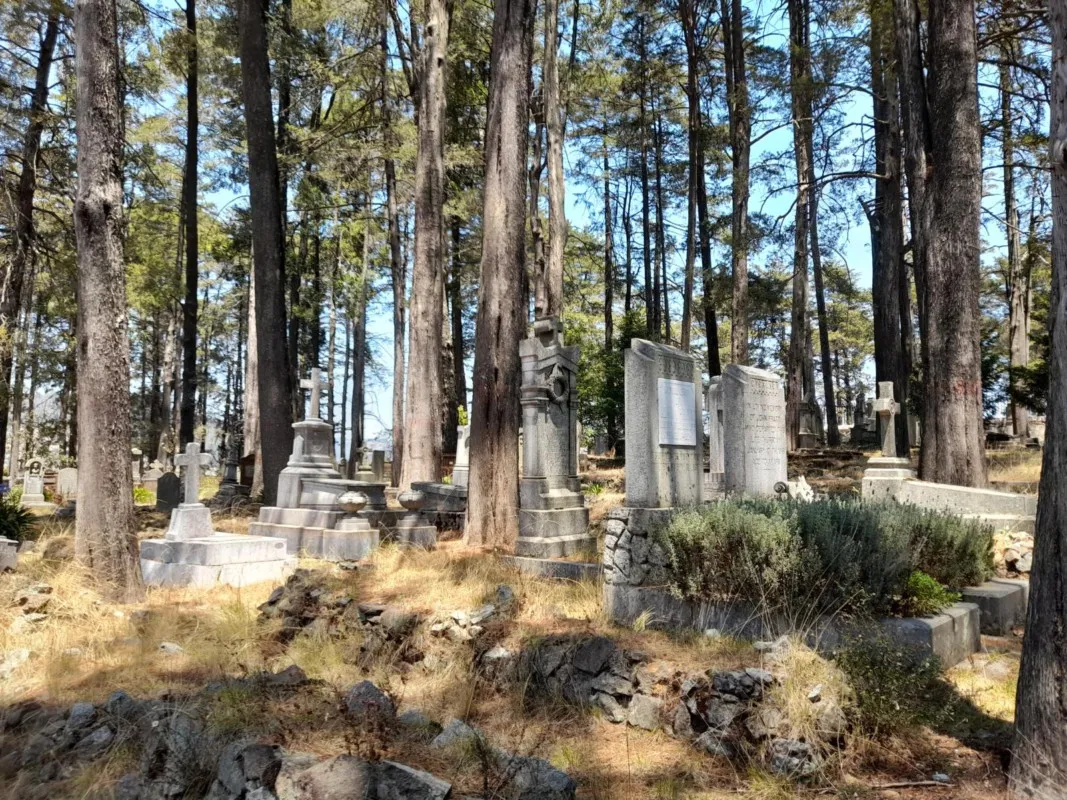 Real del Monte Pueblo Mágico: cultura, sabor y tradición