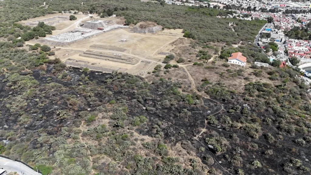 Incendios consumen maleza en Zona Arqueológica de Tula