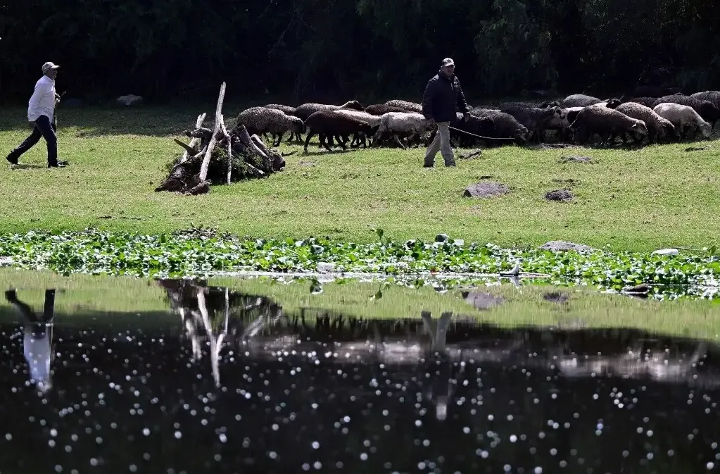 Hidalgo: vislumbran solución a “infierno ambiental” en Tepetitlán