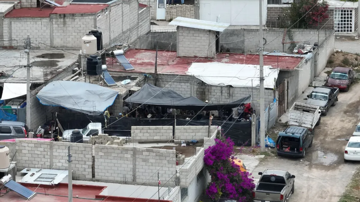 pelea de gallos ilegal