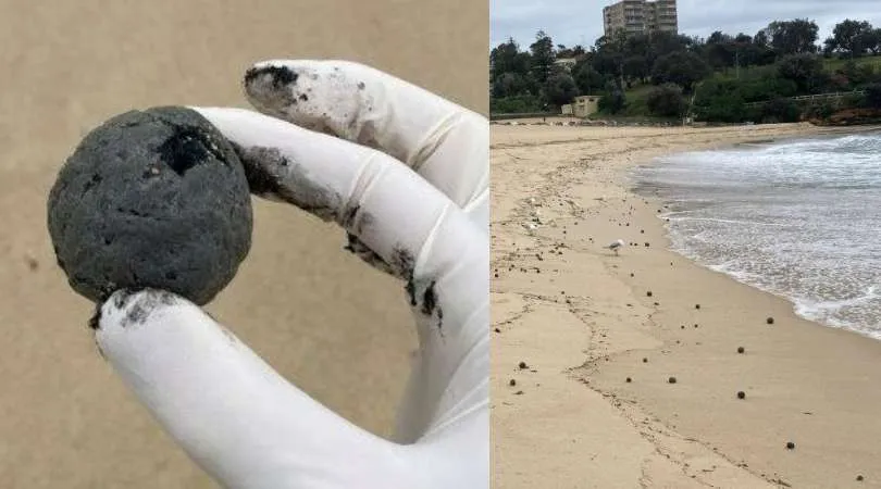 ¿Qué son las misteriosas bolas negras que han obligado a cerrar las playas de Sídney?