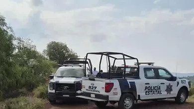 ¡Fuerte movilización policiaca! Autoridades investigan el hallazgo de un cadáver en el municipio de Tlanalapa esta mañana. Conoce el reporte oficial.
