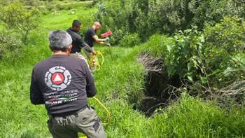 Vecinos pidieron ayuda y el rescate terminó con un final feliz. Así salvaron a un perro atrapado en Omitlán.