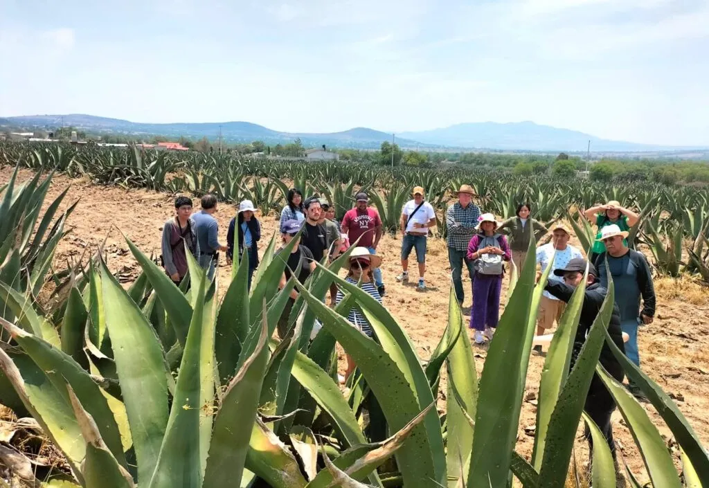 Zempoala celebra la Semana Santa con pasión y tradición
