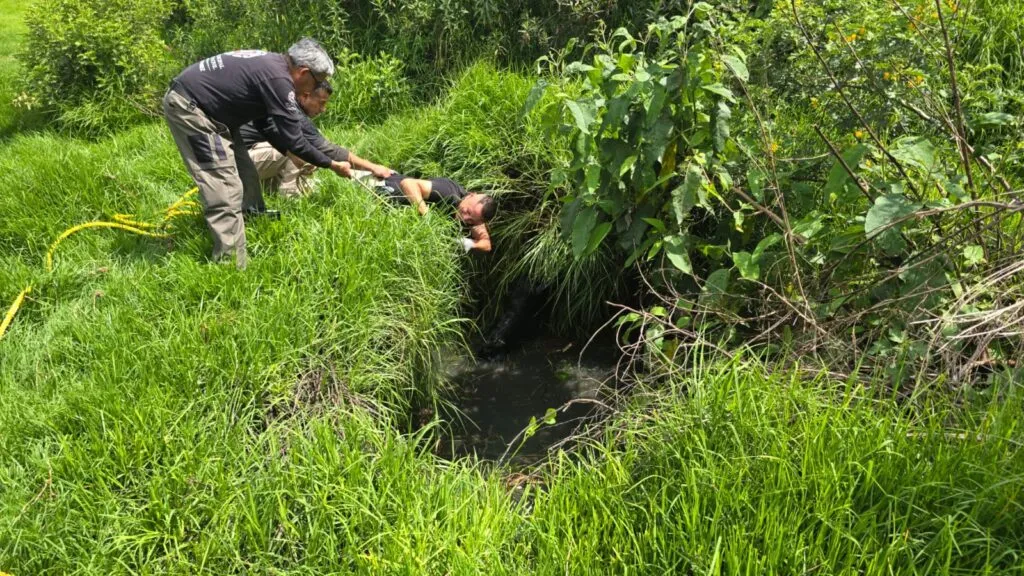 Rescatan a perrito que cayó a una fosa séptica en Omitlán