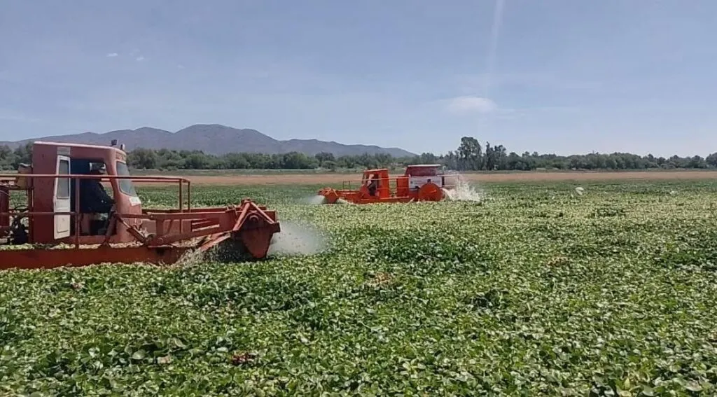 Presa Endhó y cáncer la alerta que sacude a comunidades de Hidalgo
