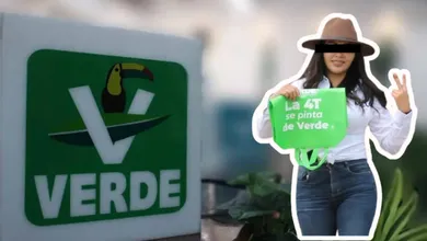 PVEM Hidalgo sobre la separación temporal de una dirigente.