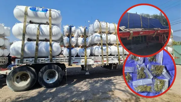 Aseguran drogas y vehículos robados en operativo en Tepetitlán.