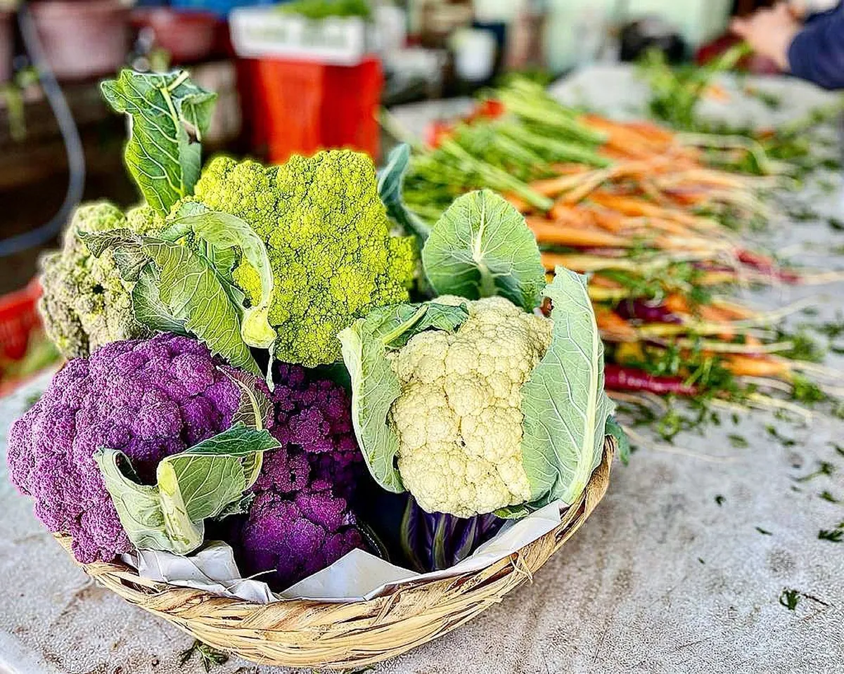 Listo el evento gastronómico “Orgullosamente Hidalguense”