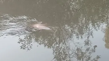 Hallan cadáver en aguas negras de Mixquiahuala