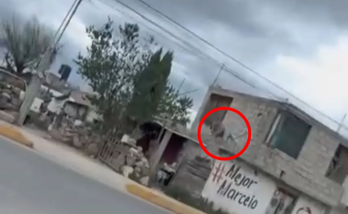 Tezontepec de Aldama: exhiben en video a un sujeto golpeando a su perro
