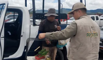 Profepa asegura pericos y fauna silvestre en Actopan