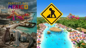 Greenpeace exhibe las mentiras de Royal Caribbean: reportaron 39 especies y en realidad hay más de 300 en peligro por su megaparque