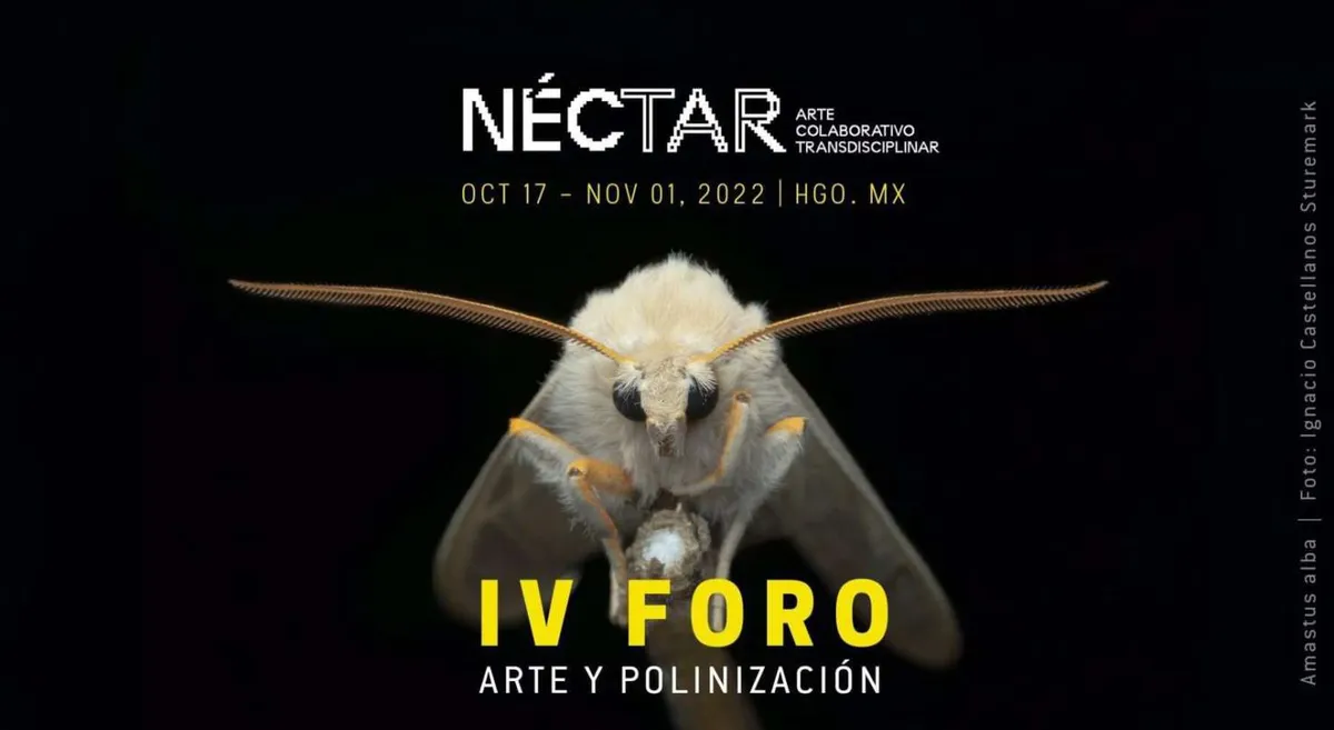 Listo el IV Foro Arte y Polinización este lunes