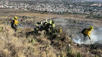 Incendio en Mineral de la Reforma
