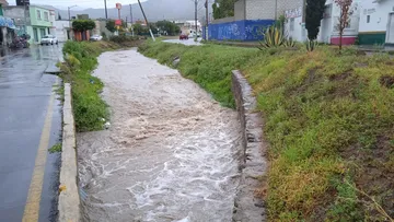 Inundaciones y caídas de árboles  deja Grace en Pachuca