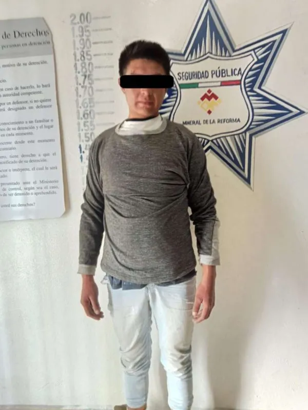 Detienen a hombre en Mineral de la Reforma por alterar el orden público