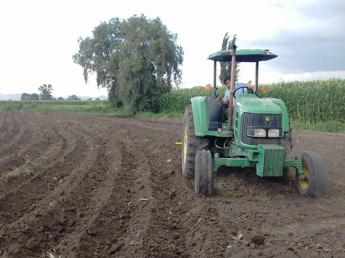 Campesinos sufren pérdidas por sequía en el Mezquital 