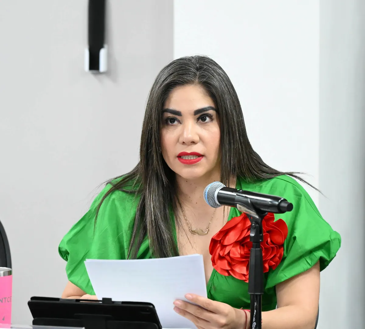 Diputada Johana Montcerrat Hernández Pérez