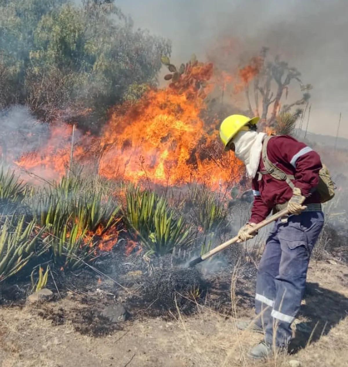 Incendios forestales en Hidalgo