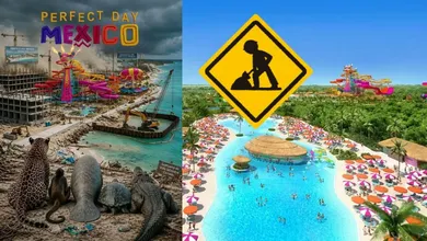 Greenpeace exhibe las mentiras de Royal Caribbean: reportaron 39 especies y en realidad hay más de 300 en peligro por su megaparque