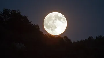 La Luna llena julio 2025, también llamada Luna del ciervo, brillará la noche del 10; conoce su significado, cuándo y cómo verla.