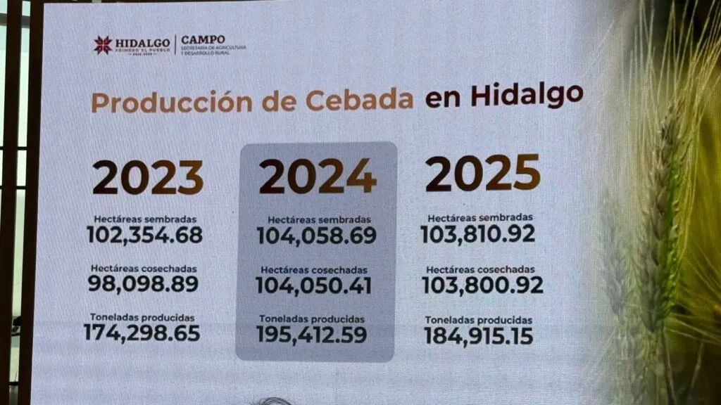 Continúa el diálogo para lograr un mejor precio de la cebada en Hidalgo