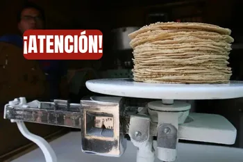 La tortilla todavía no sube, pero sus costos sí están bajo presión. Esto dicen los industriales sobre lo que viene.