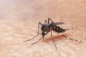 Casos de dengue en Hidalgo