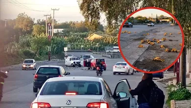 Accidente en la carretera Tlaxcoapan-Atitalaquia con pollos esparcidos sobre el pavimento.