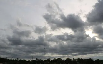 Clima Hidalgo: ¿lloverá este miércoles 30 de octubre?