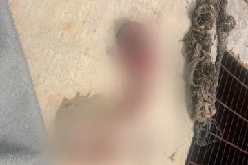 Hallan bebé sin vida cerca de fraccionamiento en Tizayuca y autoridades ya investigan