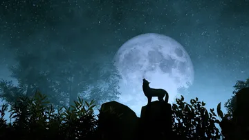 La Superluna de Lobo será el primer fenómeno astronómico de 2026.