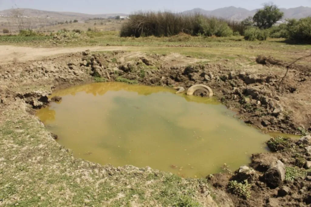 ¿Qué paso en los ríos en Cuautepec? De paraísos naturales a cloacas 