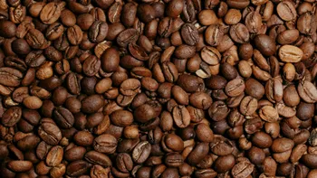 Proyecto de cafeterías hidalguenses sigue pendiente