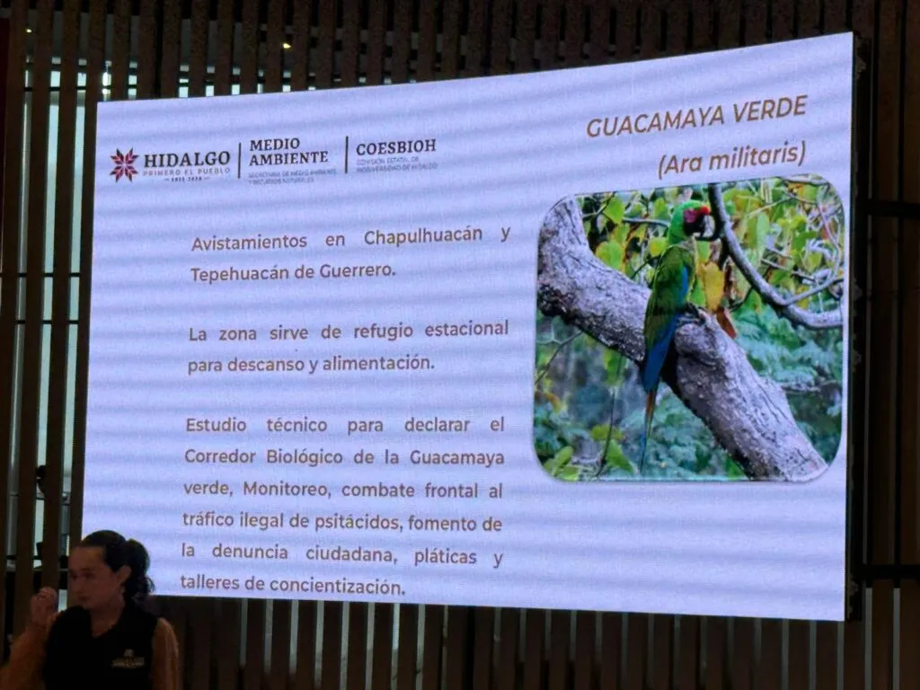 Hidalgo fortalece conservación ambiental con inversión de 17.3 mdp