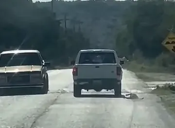 Graban a camioneta arrastrando a un perro en Ixmiquilpan; el animal fue localizado sin vida