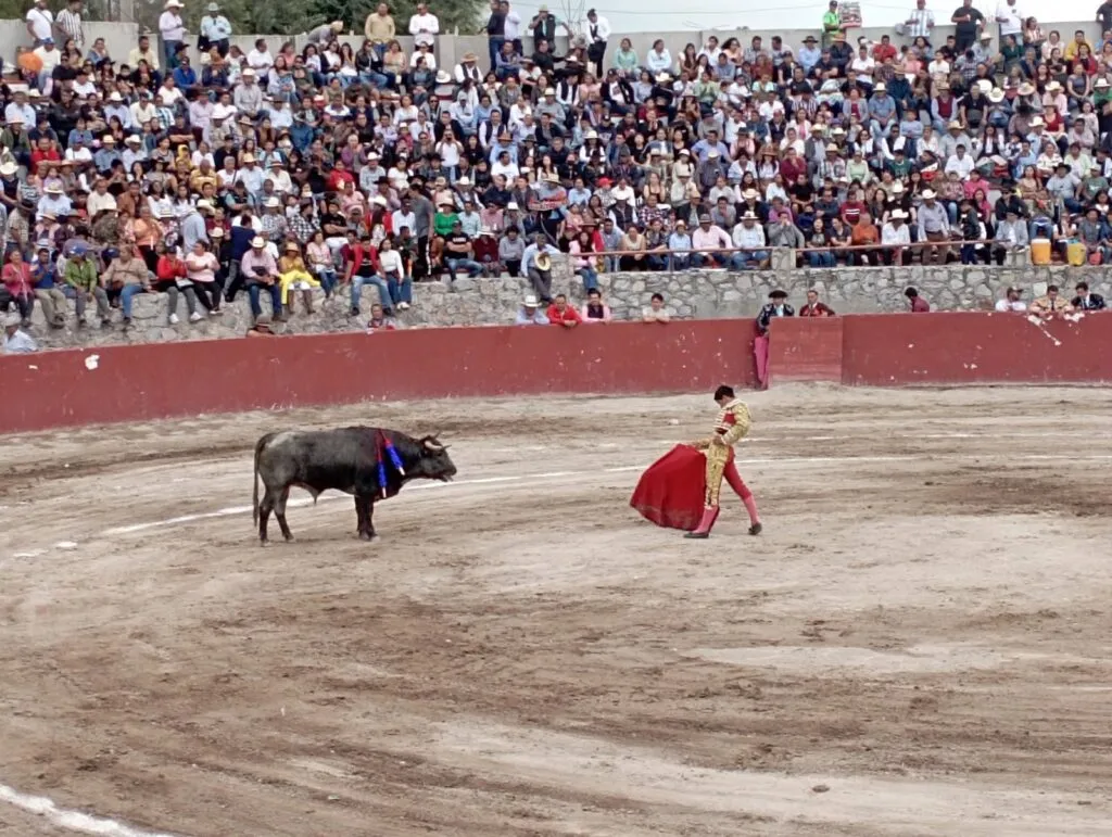 Animal Heroes y PETA Latino presentan amparo contra corrida de toros en Doxey