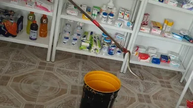 Capturan serpiente dentro de un negocio en San Salvador